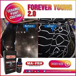 FOREVER YOUNG 2.0
